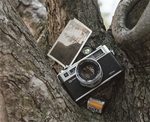 Turn your old photographs into digital files you can share. Work done in house!